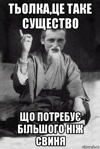 тьолка,це таке существо що потребує більшого ніж свиня, Мем Мудрий паца