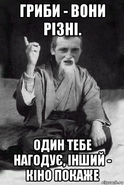 гриби - вони різні. один тебе нагодує, інший - кіно покаже, Мем Мудрий паца