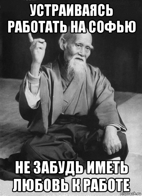 устраиваясь работать на софью не забудь иметь любовь к работе