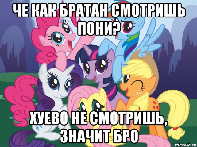 че как братан смотришь пони? хуево не смотришь, значит бро, Мем My little pony