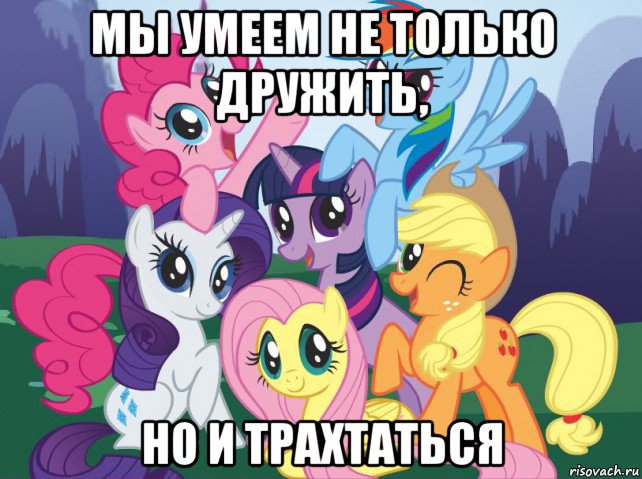 мы умеем не только дружить, но и трахтаться, Мем My little pony