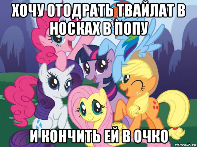 хочу отодрать твайлат в носках в попу и кончить ей в очко, Мем My little pony