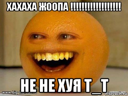 хахаха жоопа !!!!!!!!!!!!!!!!!! не не хуя т_т, Мем Надоедливый апельсин