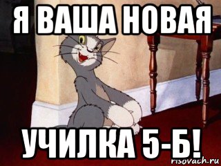 я ваша новая училка 5-б!, Мем Наглый том