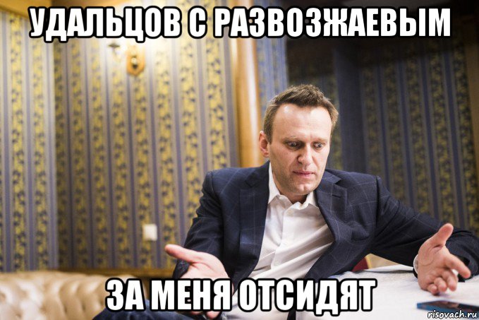 удальцов с развозжаевым за меня отсидят