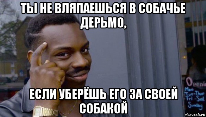 ты не вляпаешься в собачье дерьмо, если уберёшь его за своей собакой, Мем Не делай не будет