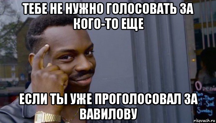 тебе не нужно голосовать за кого-то еще если ты уже проголосовал за вавилову, Мем Не делай не будет