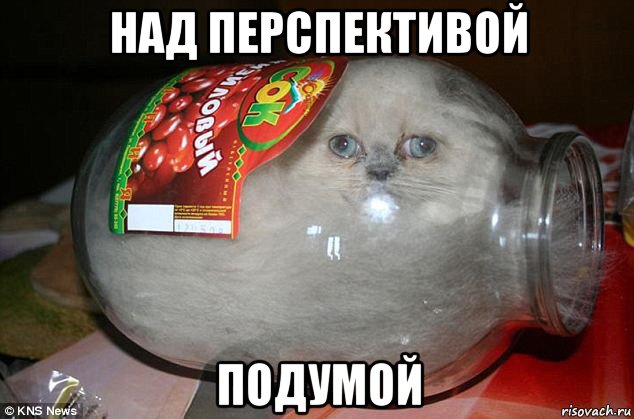 над перспективой подумой