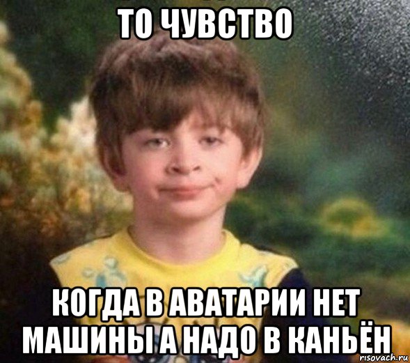 то чувство когда в аватарии нет машины а надо в каньён, Мем Недовольный пацан