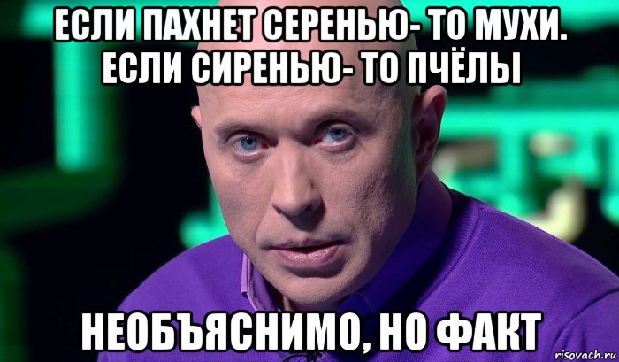 если пахнет серенью- то мухи. если сиренью- то пчёлы необъяснимо, но факт, Мем Необъяснимо но факт