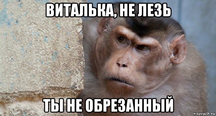 виталька, не лезь ты не обрезанный