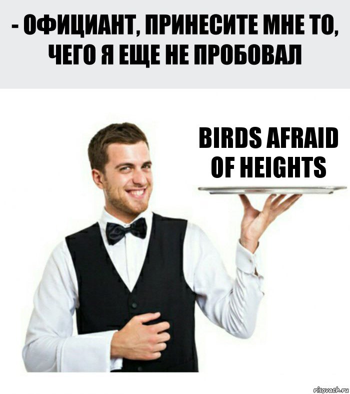 BIRDS AFRAID OF HEIGHTS, Комикс Официант