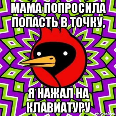 мама попросила попасть в точку, я нажал на клавиатуру, Мем Омская птица