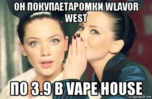 он покупаетаромки wlavor west по 3.9 в vape house, Мем  Он