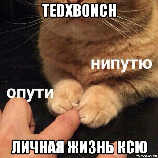 tedxbonch личная жизнь ксю
