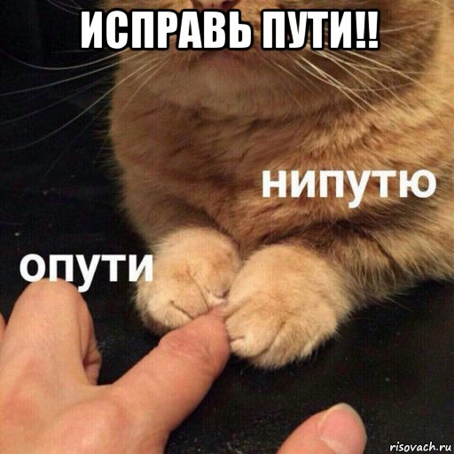 исправь пути!! 