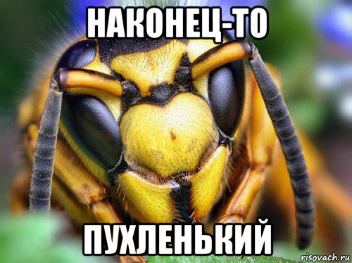 наконец-то пухленький