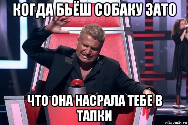 когда бьёш собаку зато что она насрала тебе в тапки, Мем   Отчаянный Агутин