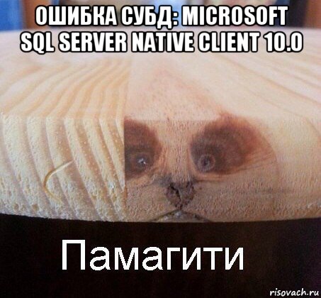 ошибка субд: microsoft sql server native client 10.0 , Мем   Памагити