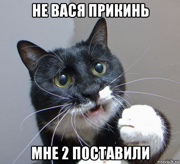 не вася прикинь мне 2 поставили