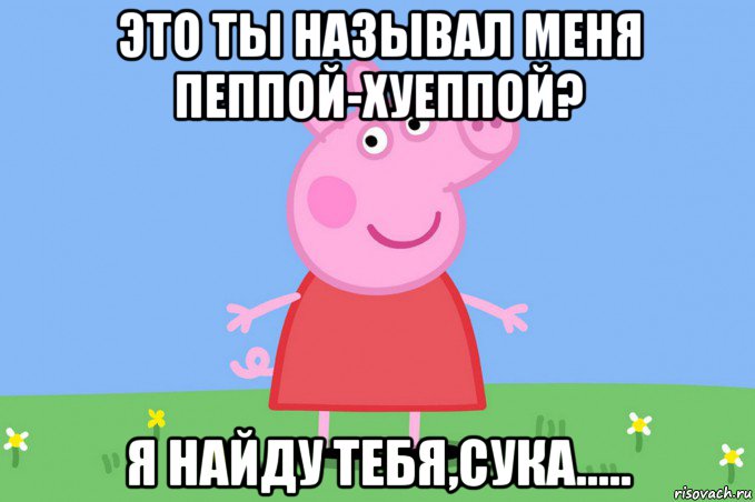 это ты называл меня пеппой-хуеппой? я найду тебя,сука.....