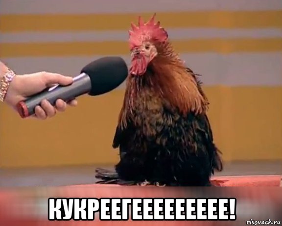  кукреегеееееееее!