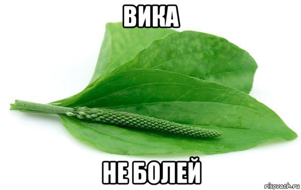 вика не болей