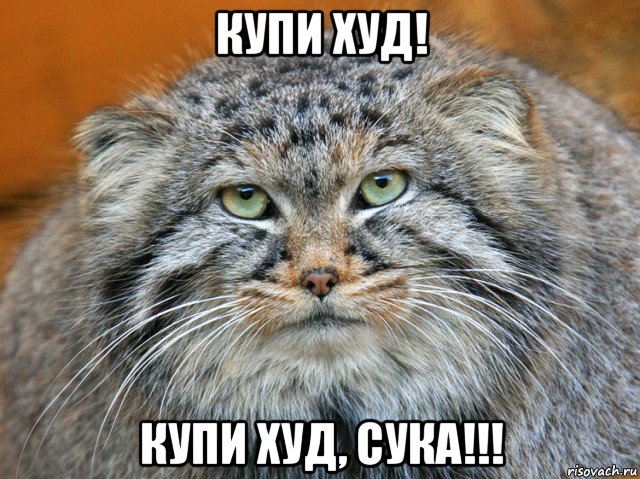 купи худ! купи худ, сука!!!