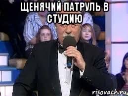 щенячий патруль в студию , Мем Поле чудес