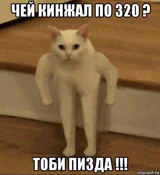 чей кинжал по 320 ? тоби пизда !!!, Мем  Полукот