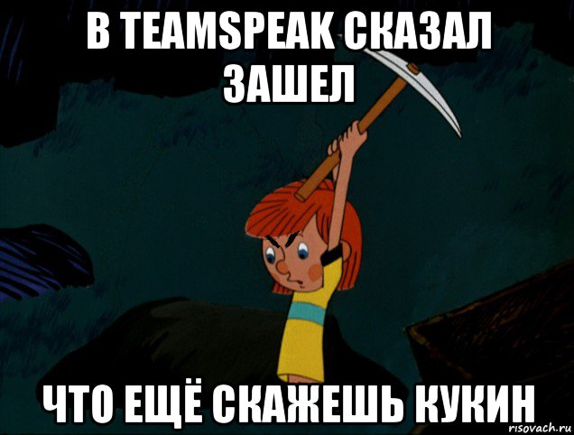 в teamspeak сказал зашел что ещё скажешь кукин