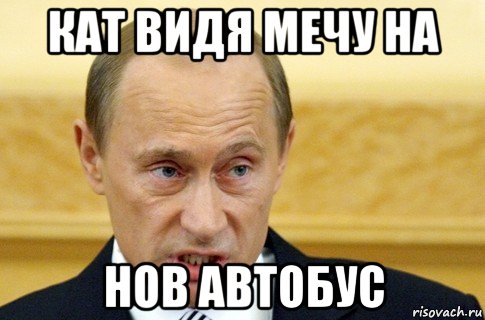 кат видя мечу на нов автобус, Мем путин