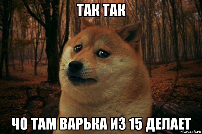 так так чо там варька из 15 делает, Мем SAD DOGE