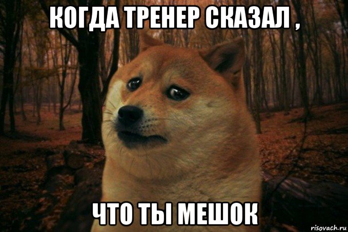 когда тренер сказал , что ты мешок, Мем SAD DOGE