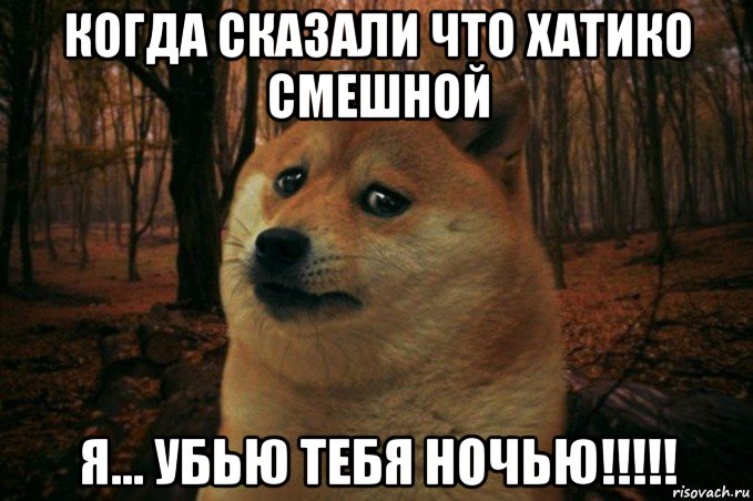 когда сказали что хатико смешной я... убью тебя ночью!!!!!, Мем SAD DOGE