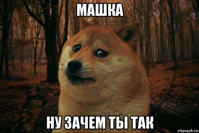 машка ну зачем ты так, Мем SAD DOGE