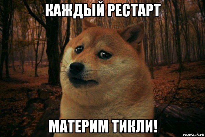 каждый рестарт материм тикли!, Мем SAD DOGE