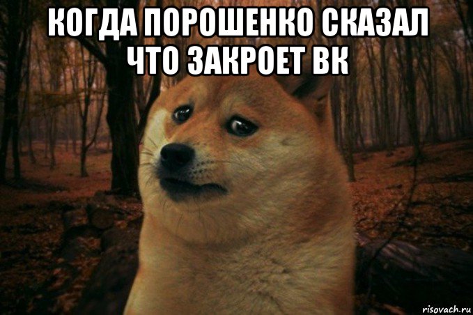 когда порошенко сказал что закроет вк , Мем SAD DOGE