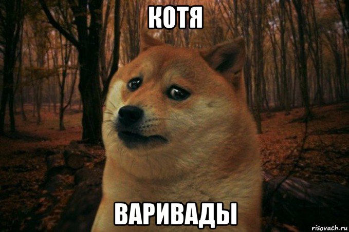 котя варивады, Мем SAD DOGE