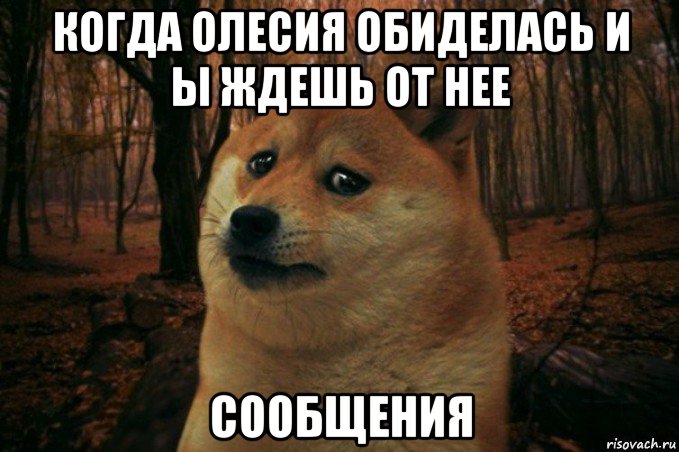 когда олесия обиделась и ы ждешь от нее сообщения, Мем SAD DOGE