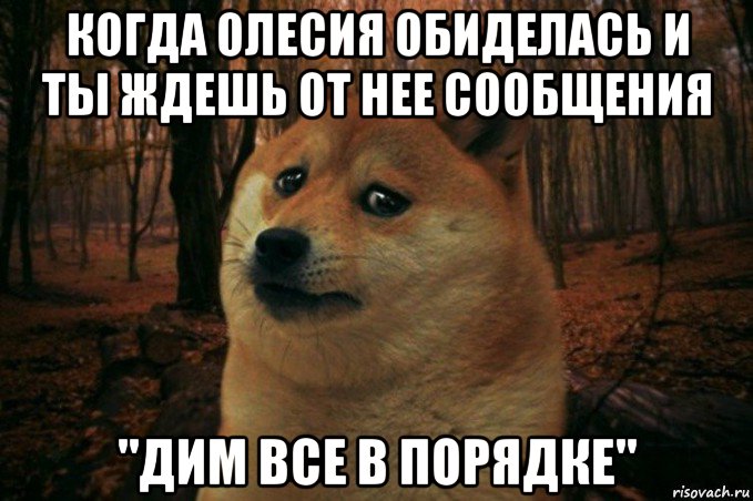 когда олесия обиделась и ты ждешь от нее сообщения "дим все в порядке", Мем SAD DOGE