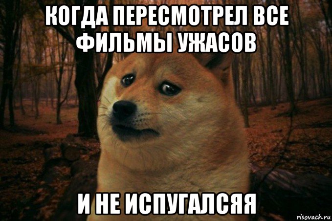 когда пересмотрел все фильмы ужасов и не испугалсяя, Мем SAD DOGE