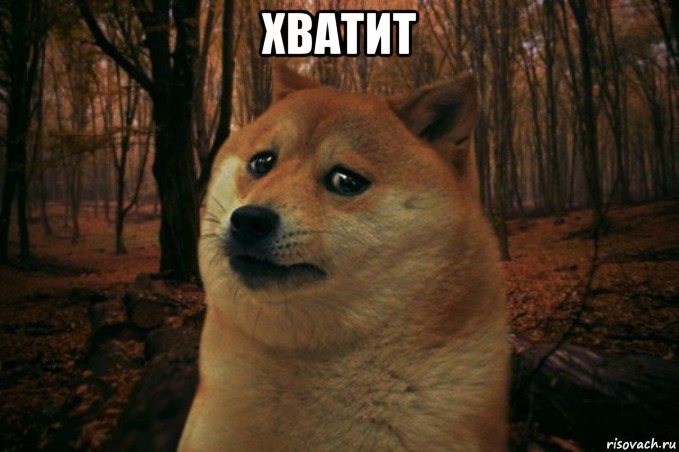 хватит , Мем SAD DOGE