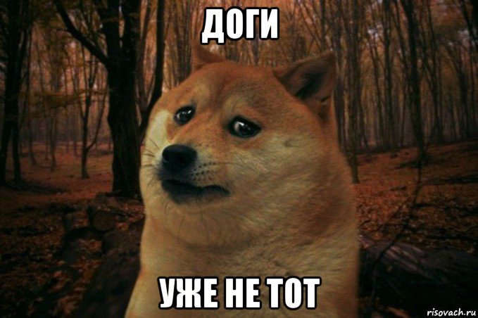 доги уже не тот, Мем SAD DOGE