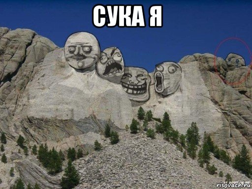 сука я 