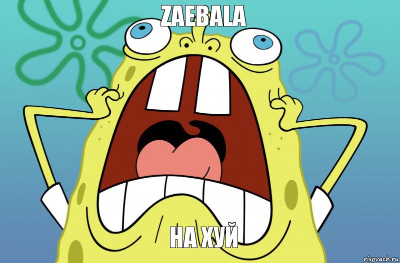 ZAEBALA НА ХУЙ