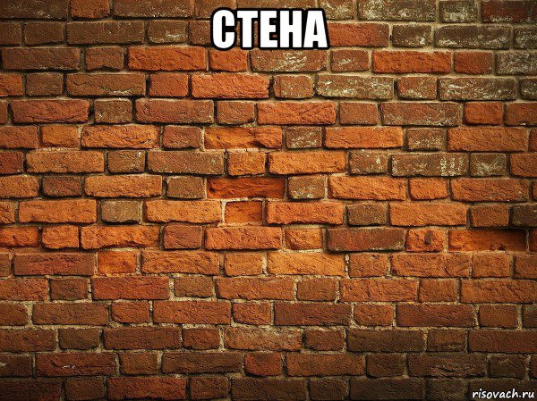 стена 