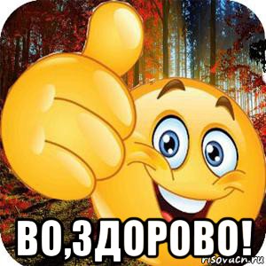  во,здорово!