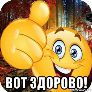  вот здорово!