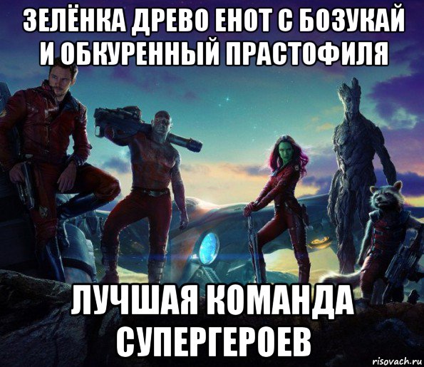 зелёнка древо енот с бозукай и обкуренный прастофиля лучшая команда супергероев
